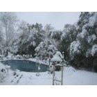 Coushatta: Surprise snowfall Feb 2010. My backyard