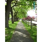 Clearfield: Path in the park by the river