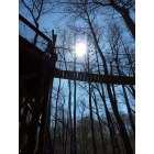 Florence: : Treetop Bridges at Lynches River Florence County Park