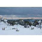 Cameron Park: Snow day sky2 Landscape