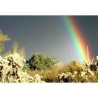 Rainbow over Picture Rocks