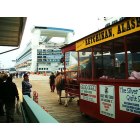 Ketchikan: : Ketchikan Cruise Pier