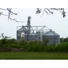 Darien: Grain Bins in field off Hwy X