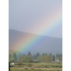 Susanville: : Rainbow in Spring