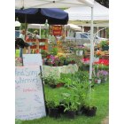 Waterbury: Summer Farmer's market