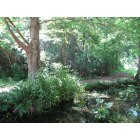 Palatka: : A picture of the Ravine Gardens
