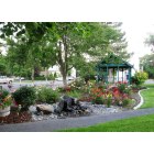 Echo: : rose garden & water feature in city park