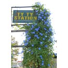 Ty Ty: Ty Ty Station Sign