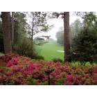Augusta-Richmond County: Augusta National Golf Club