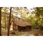 Clarion: Hominy Ridge cabin in cooks forest