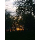 Muncie: sunset through the trees at white river