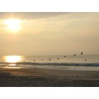 Wrightsville Beach: Sunrise Pelicans