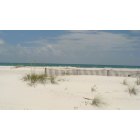 Pensacola: : The Beach Fence