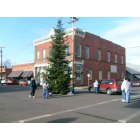 Oakland: : historic Oakland Oregon placing the Christmas tree in the street Locust