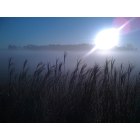 Marysville: : Sunrise in mist just south of town