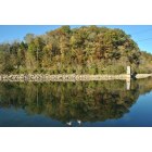 Bluff City: Reflection of hill side on Boone Lake. Taken from pavilion/docks in Bluff City, TN