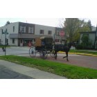 New Wilmington: : Amish buggie in New Wilmington, PA