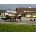 New Wilmington: : Amish buggy in New Wilmington, PA