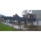 New Wilmington: : Amish Buggies outside Dollar General, New Wilmington, PA