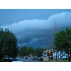 Morris: : Tutor Apartments seeing a storm!