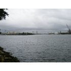 Tampa: : Downtown from Davis Island
