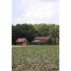 Metter: Cotton countryhome in Metter