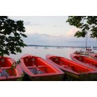Madison: : Red boats at the Madison Union Terrace overlooking Lake Mendota