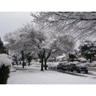 Carrollton: Carrollton - Snowstorm 2010