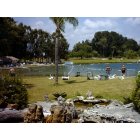 Warm Mineral Springs: A nice day for soaking in the springs!