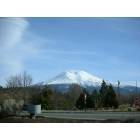 Weed: view of mt. shasta from weed