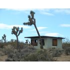 Yucca Valley: : The Bird And The Cabin