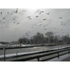 Delaware City: : Old Canal in Winter- Feb. 2010