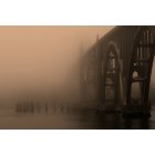 Newport: : Bridge Across Forever...