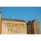 Newcastle: Old Toomey's Mill, Full Moon, 2/26/2010