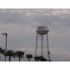Dade City: Dade City's water tower,located in the Business Center but seen for miles.