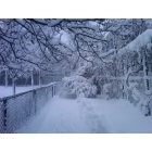 Somerville: Snow covered Kenney Park in Davis Square