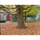 Shepherdstown: Fall Leaves at the Church on German St.
