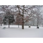 Warsaw: : Winter Wonderland. Beautiful winter scene in our yard 2010.