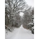 Wildwood: : Winter Month