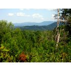 Tellico Plains: : View from Payne Road
