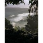San Diego Country Estates: Morning Fog