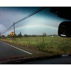 Wilton: rainbow