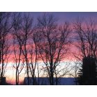 Green Isle: Sunrise In Pastels, Green Isle, MN