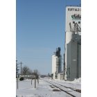 Buffalo Lake: Westbound TwinCities & Western Railway and Grain Co-oP