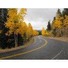 Evergreen: : Fall Colors Squaw Pass, Evergreen