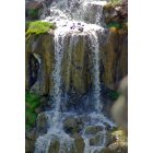 Twin Falls: : Twin Falls Id ~ Back side of Shoshone Falls Runoff