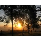 Tyler: Morning Sunrise in Tyler (Taken in my back yard.)