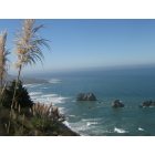 Fort Bragg: : A beautiful view of the ocean from the hilltops in Fort Bragg, CA