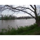 Franklin: River April 25, 2011