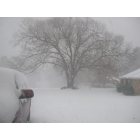 Texarkana: We got snow! 2011